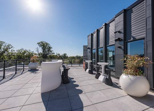 A sunny day on a rooftop patio with white planters and black railings.