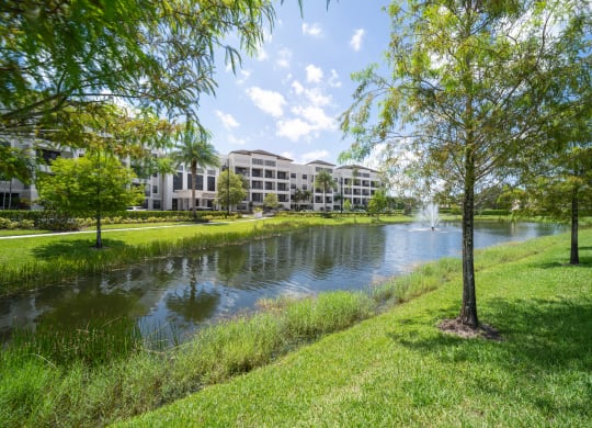 Pond with walking trail