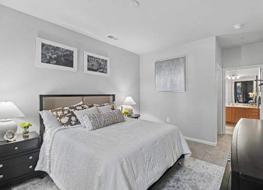 Primary bedroom with walk-in closet and attached bathroom