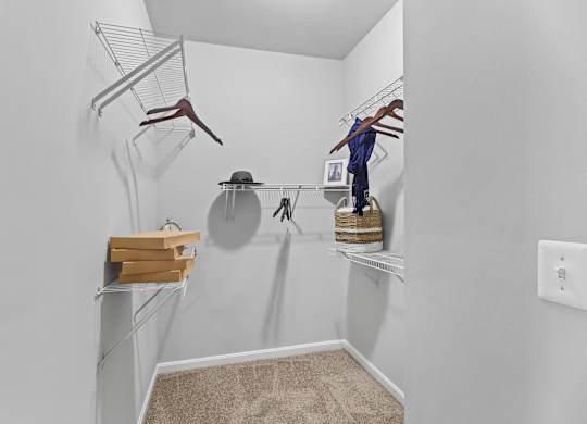 Spacious walk in closet
