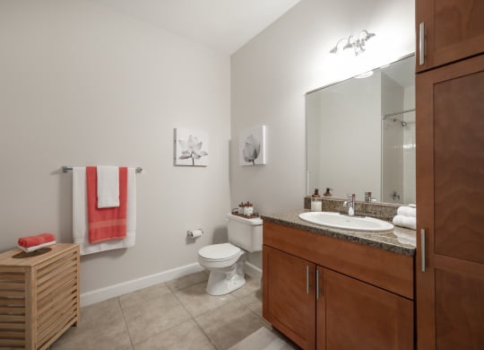 a bathroom with a toilet and a sink and a mirror