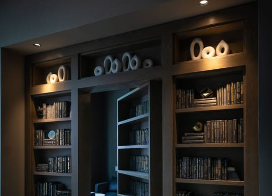 a dark room with bookshelves and a doorway