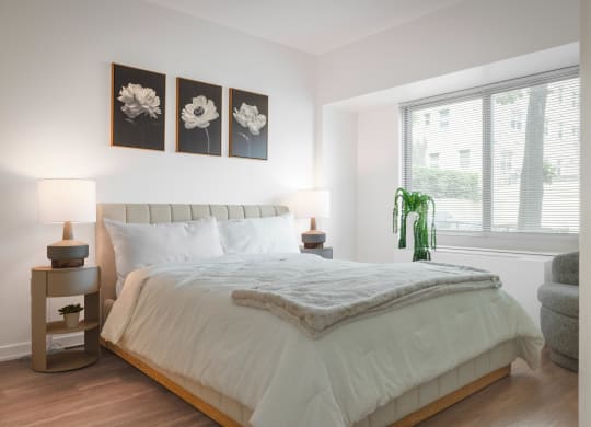a bedroom with a large bed and a window