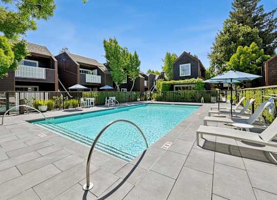 Resort-style pool at Grove Apartments with sundeck seating and mature trees.