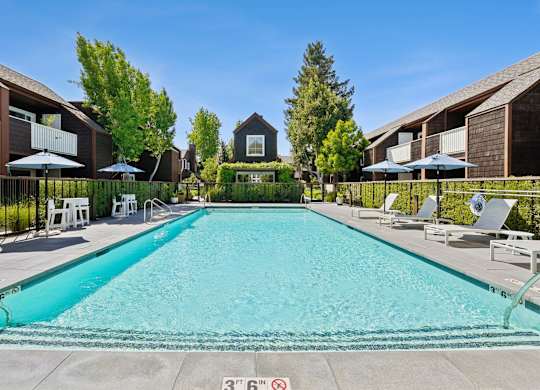 Swimming pool at Grove Apartments surrounded by landscaped grounds