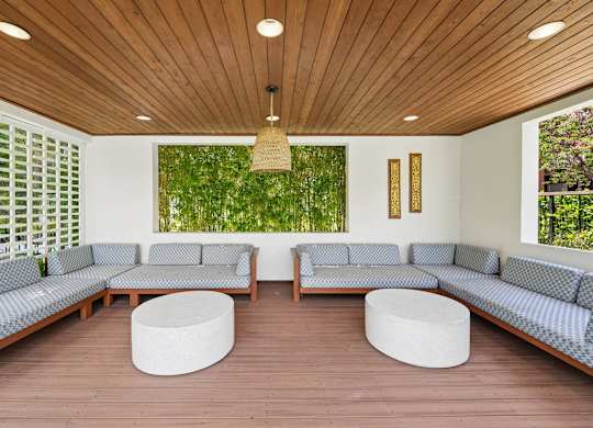 Poolside landscaping at Grove Apartments with trees and planted areas