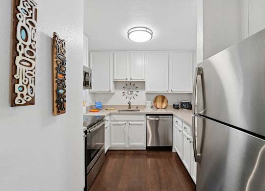 Sunnyvale apartment kitchen with sleek cabinetry and contemporary design