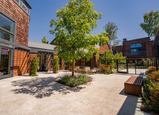 Spacious courtyard with lush greenery and open design