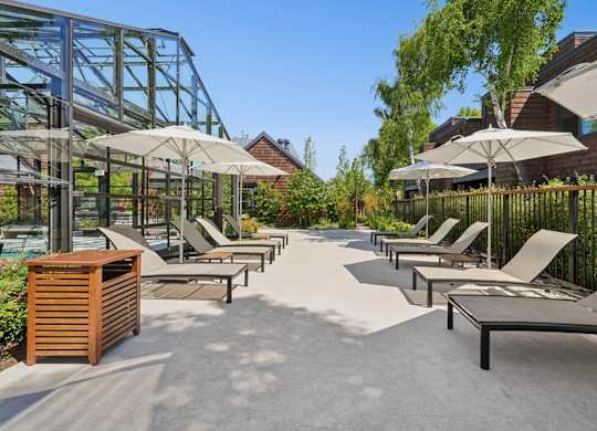 Poolside seating with lounge chairs and sunny atmosphere