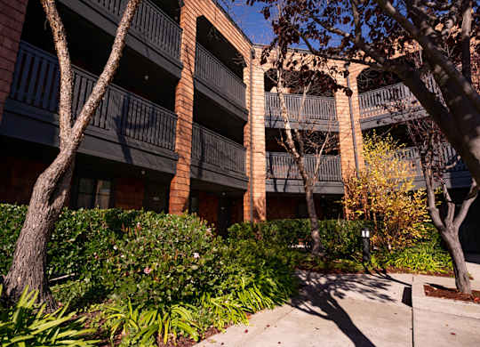 Apartment grounds with lush greenery and landscaped paths at Indian Creek in Redwood City