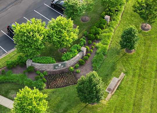 A park area with a bench and a tree.