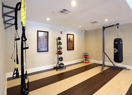 A gym with a punching bag, ropes and weights.