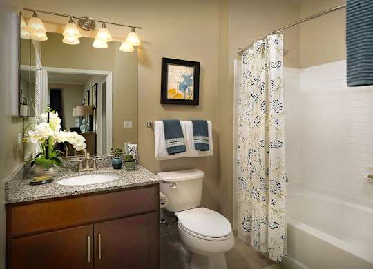 A bathroom with a toilet, sink, and shower.