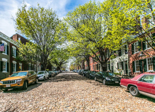 Neighborhood- Captains-Row-Up-street-view at The Asher, Virginia, 22314