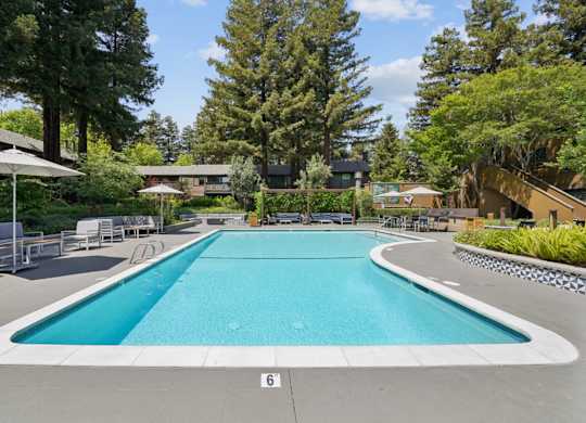 Resort-style swimming pool at Old Orchard Apartments with lounge seating and mature trees.