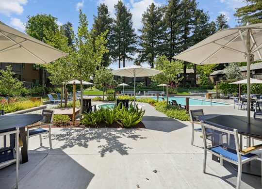 Pool area with seating and greenery at Old Orchard Apartments