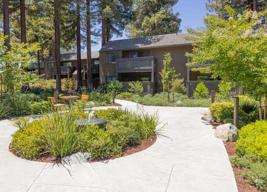 Landscaped walkway with seating area and apartment buildings