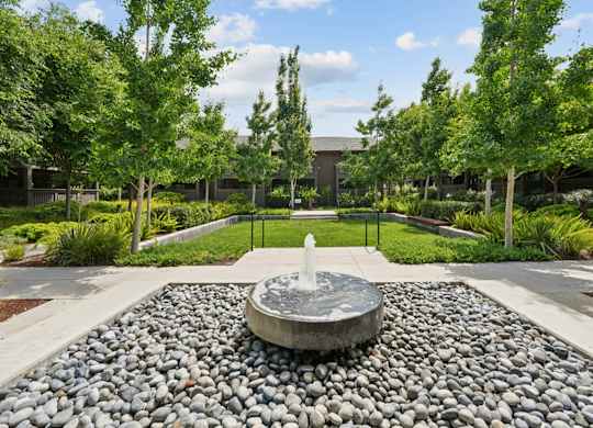 Courtyard with decorative fountain, benches, and landscaped greenery