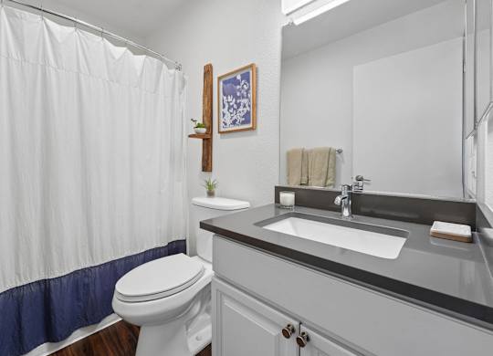 Bathroom with vanity sink, mirror, tub and shower combination, and wood-style flooring