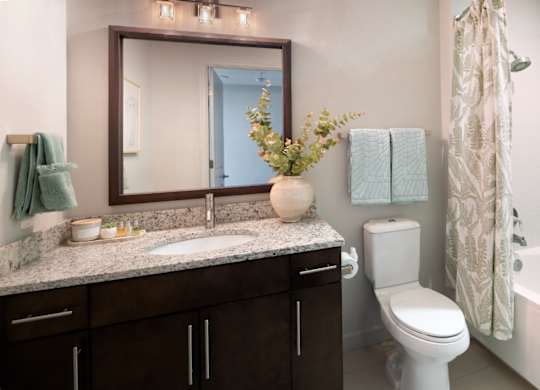 A bathroom with a sink, toilet, and a mirror.