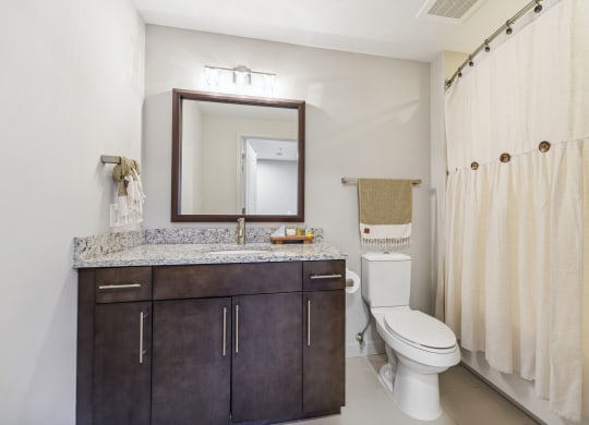 a bathroom with a toilet and a sink and a mirror