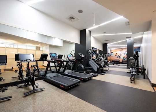a gym with cardio equipment and weights on the floor
