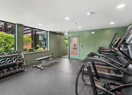 A gym with treadmills and exercise bikes.