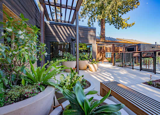 A modern house with a wooden exterior and a glass roof.