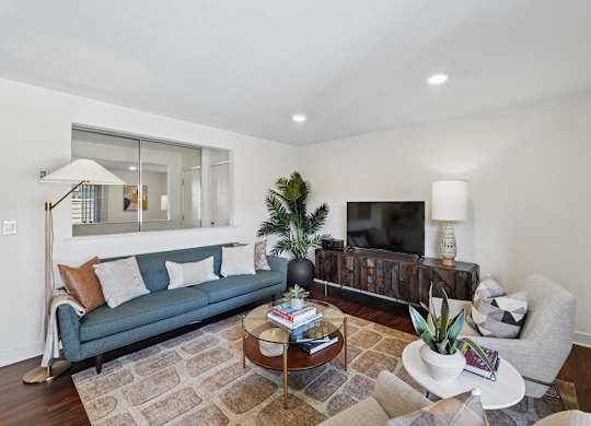 A living room with a couch, a coffee table, and a television.