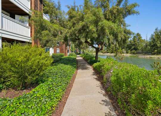 Walking trail along the waterfront at Pescadero Apartments surrounded by lush landscaping and greenery.
