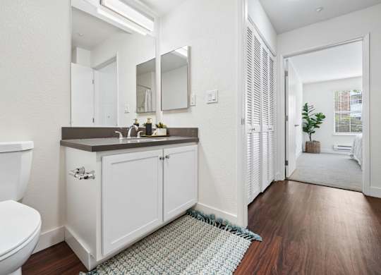 Bathroom vanity area at Pescadero Apartments with modern cabinetry, updated fixtures, and wood-style flooring.