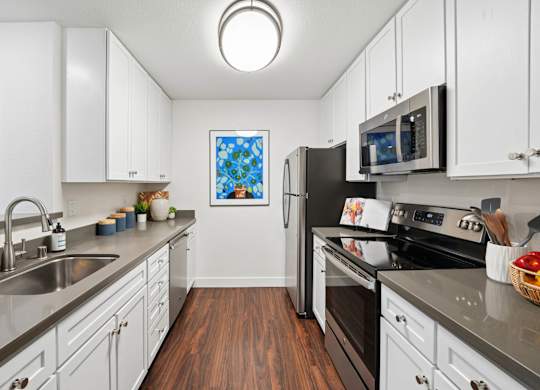 kitchen with stainless steel appliances and stone countertops