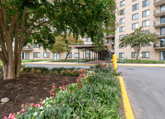 a street in front of an apartment building with a tree and flowers