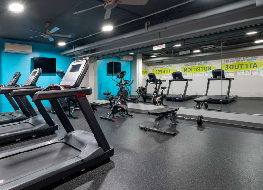 a group of treadmills and other exercise equipment in a gym