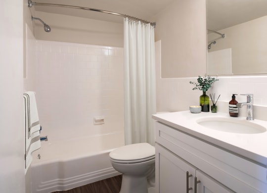 a bathroom with a sink and a toilet and a shower