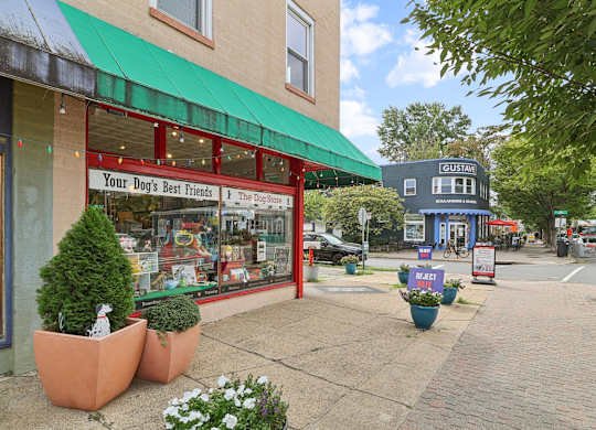 The Dog Store on Mount Vernon Avenue