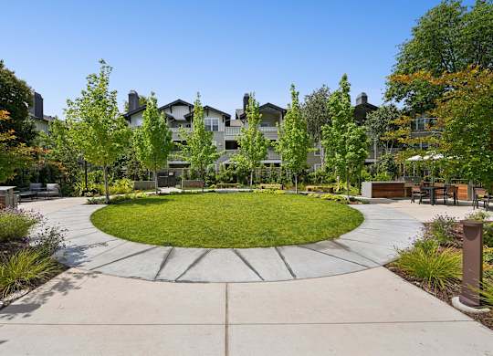 A large grassy area surrounded by trees and a concrete walkway in front of a building.