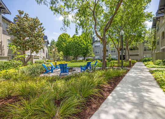 A walkway in a park with trees and grass on either side.