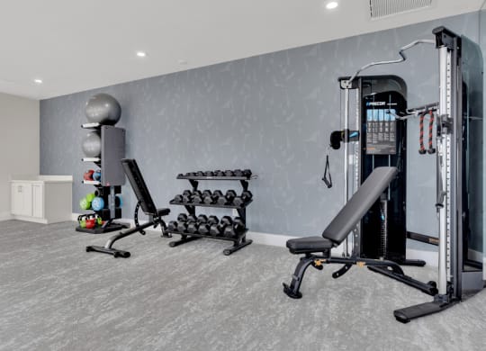 Fitness center with weight lifting equipment at Brandywine Crossing, Brandywine, MD 20613