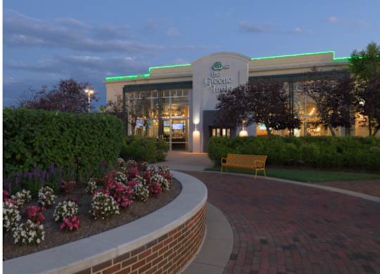 Photo of greene turtle