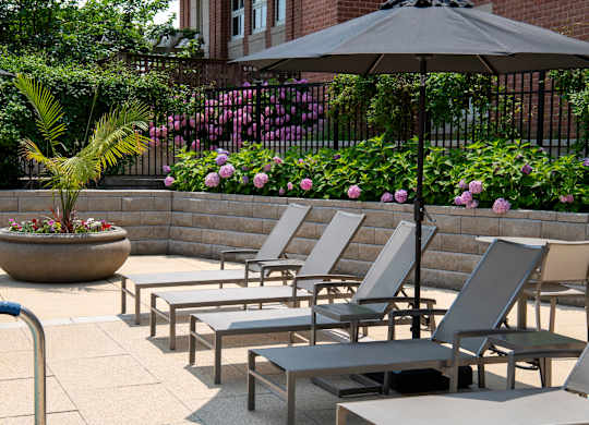 Photo of Pool Seats