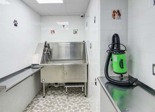 Pet Spa