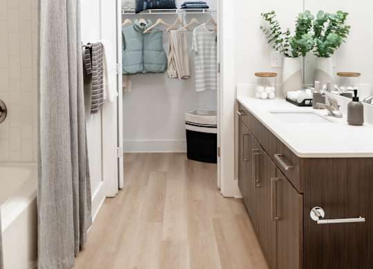 Bathroom and Closet