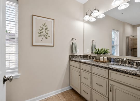 Bathroom with dual sinks, granite vanity, large mirror, and overhead lighting.