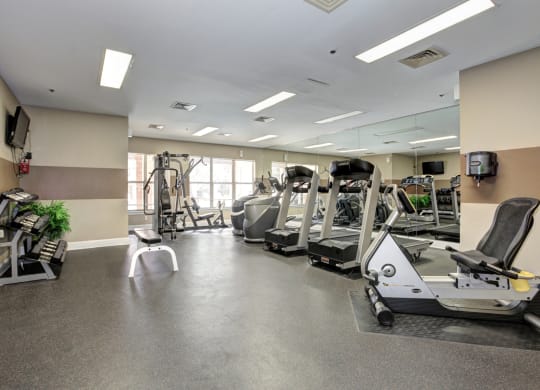 Fitness center with cardio, free weights, workout machines