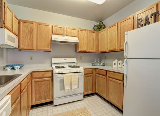 Enjoy gas stoves in your home