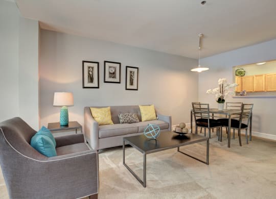 Oversized windows and open layouts make our spacious apartments a masterpiece