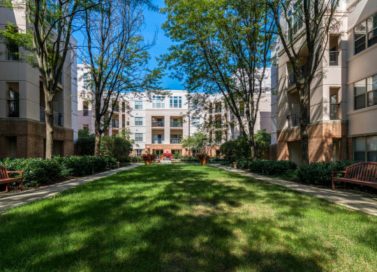 Expansive courtyard with grills
