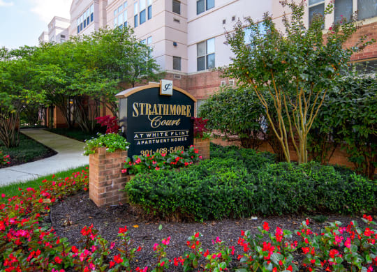 Find your groove at Strathmore Court