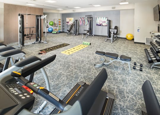 a gym with cardio equipment and weights on the floor and a wall with a tv